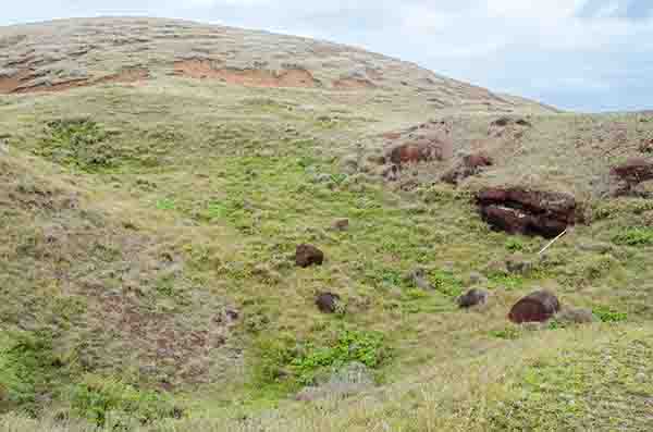 153 - Chile - isla de Rapa Nui o Pascua - sendero Puna Pau